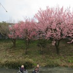 IMG_5877-640x480-150x150