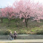 IMG_5888-640x480-150x150